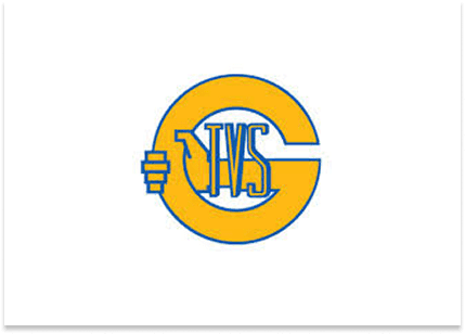 TVS logo